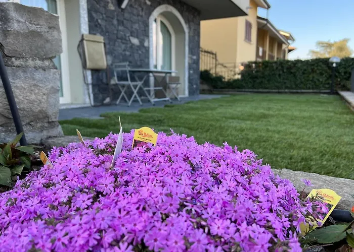 Nogara * Менаджо